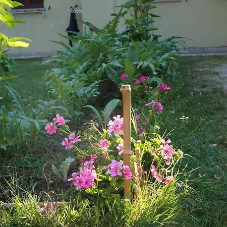 Nel Cuore Della Citta Apartment Urbania